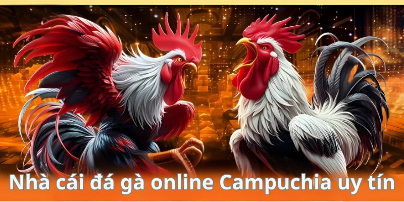 Cách Lựa Chọn Nhà Cái Đá Gà Online Campuchia Uy Tín 2025