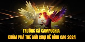 Trường Gà Campuchia - Thế Giới Chọi Kê Đỉnh Cao Tại SHBET